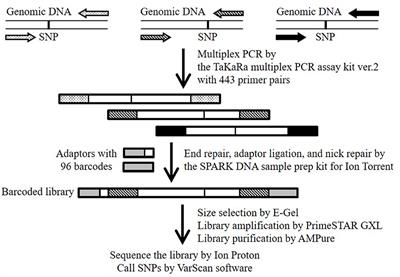 Frontiers Multiplex Pcr Targeted Amplicon Sequencing Mta Seq